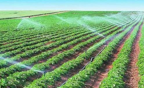 大雞巴插入小穴在线观看农田高 效节水灌溉